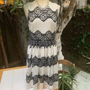 Black and White Lacy Tea Time Dress